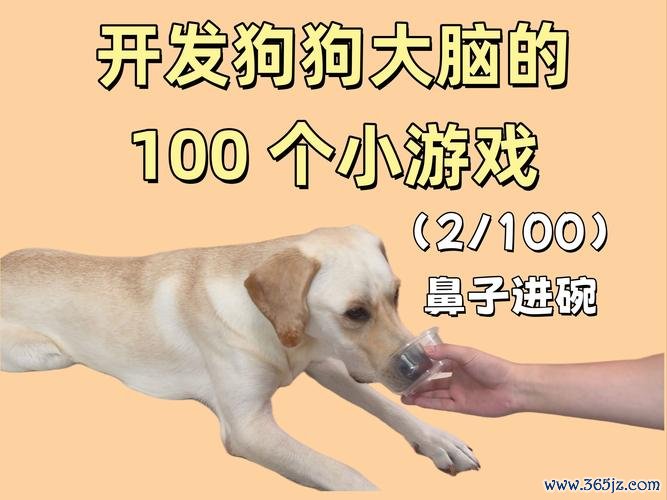 小女孩和狗最全游戏攻略解说_小女孩和狗最新游戏技巧通关