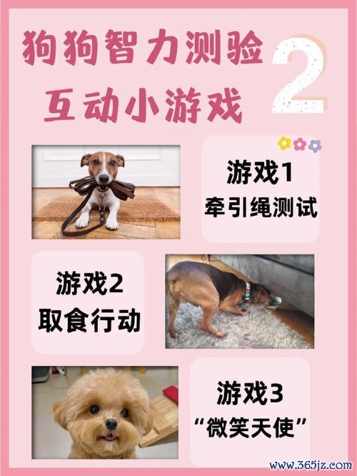 小女孩和狗最全游戏攻略解说_小女孩和狗最新游戏技巧通关