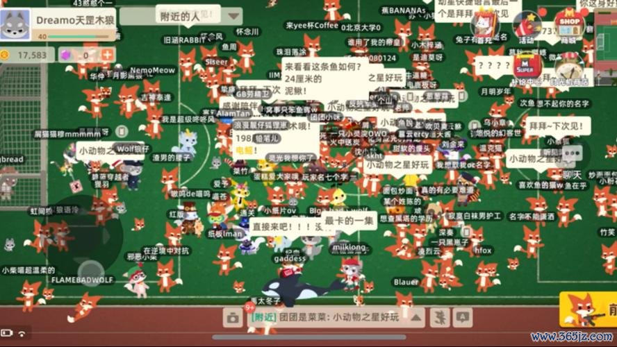 小动物之星下载_小动物之星全关卡通关技巧