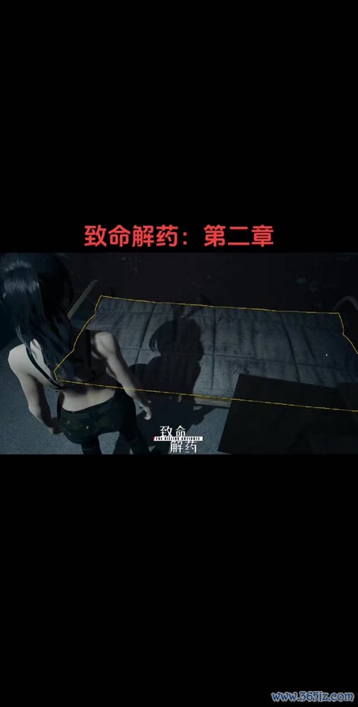 寻找解药最全游戏攻略解说_寻找解药最新游戏技巧通关