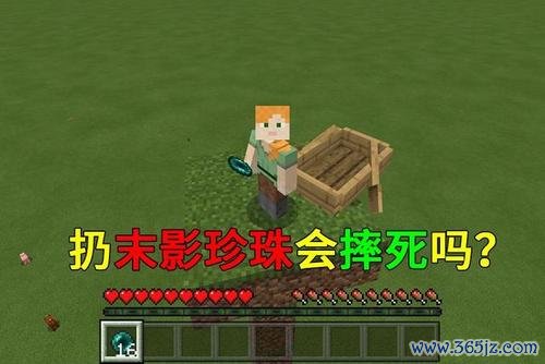 寻找珍珠最全游戏攻略解说_寻找珍珠最新游戏技巧通关