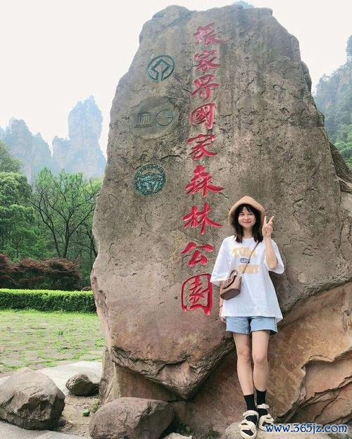 导游小姐全流程攻略解说_导游小姐最新玩法技巧通关