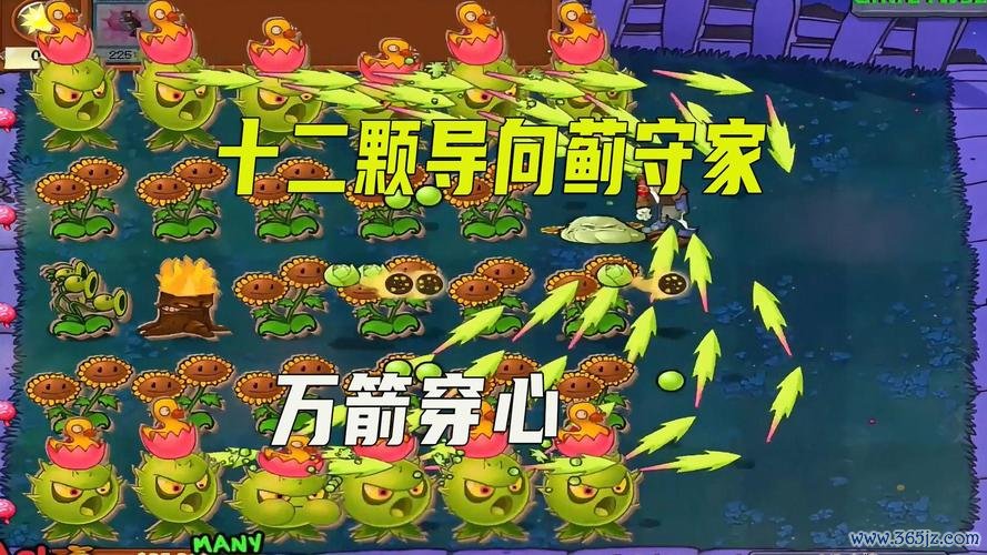 导向蓟最全游戏攻略解说_导向蓟最新游戏技巧通关