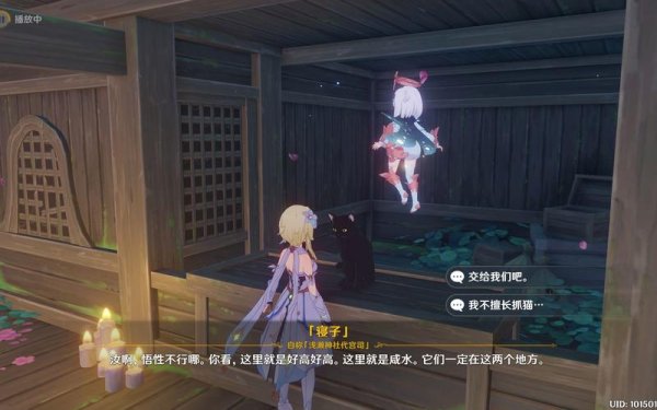寝子游戏最全攻略解说_寝子游戏最新技巧通关