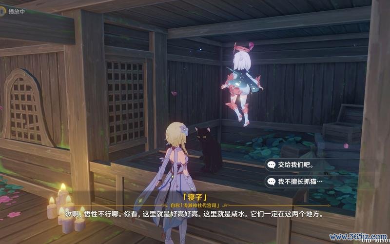 寝子游戏最全攻略解说_寝子游戏最新技巧通关