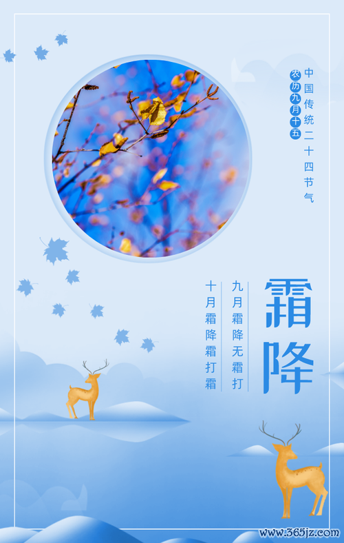 寒霜降最全游戏攻略解说_寒霜降最新游戏技巧通关