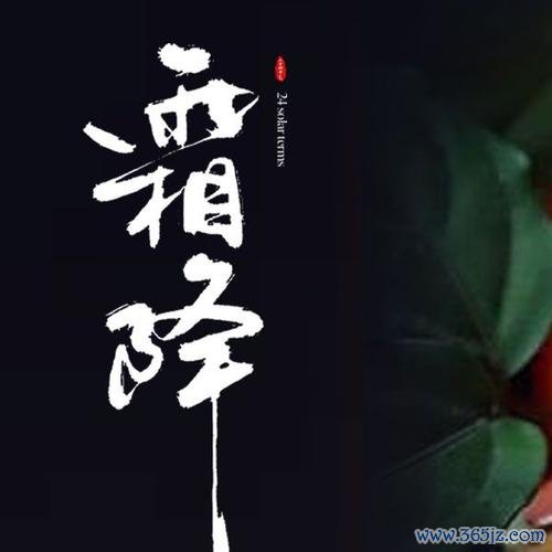 寒霜降最全游戏攻略解说_寒霜降最新游戏技巧通关