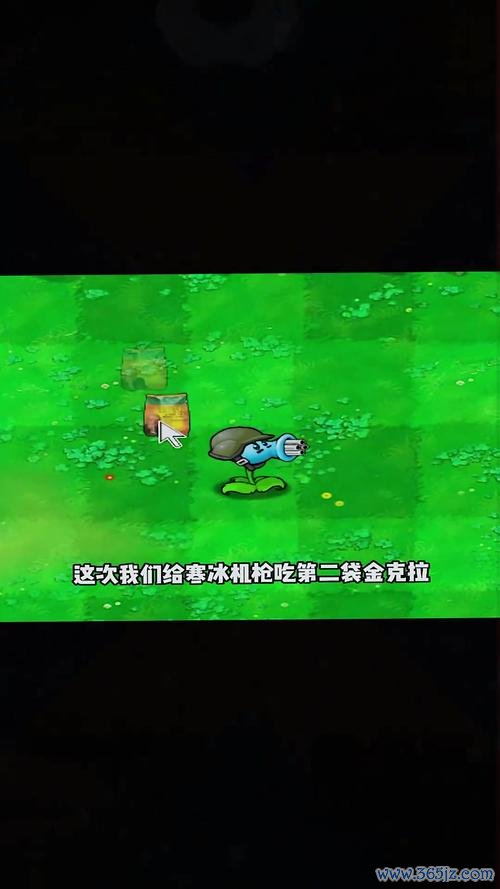 寒冰豌豆射手最全游戏攻略解说_寒冰豌豆射手最新游戏技巧通关