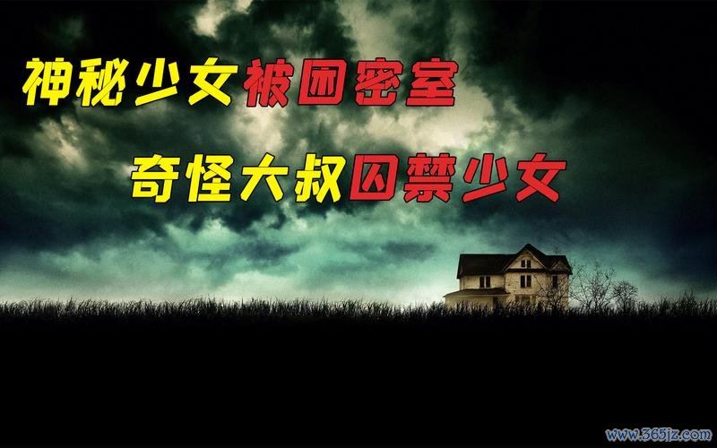 密室少女最全游戏攻略解说_密室少女最新游戏技巧通关