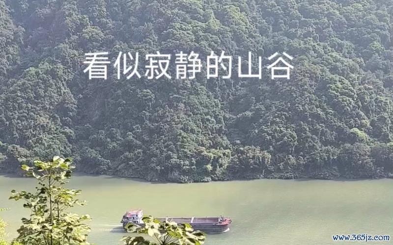 寂静的山谷最全游戏攻略解说_寂静的山谷最新游戏技巧通关