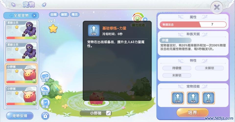 宠物宝宝最全游戏攻略解说_宠物宝宝最新游戏技巧通关