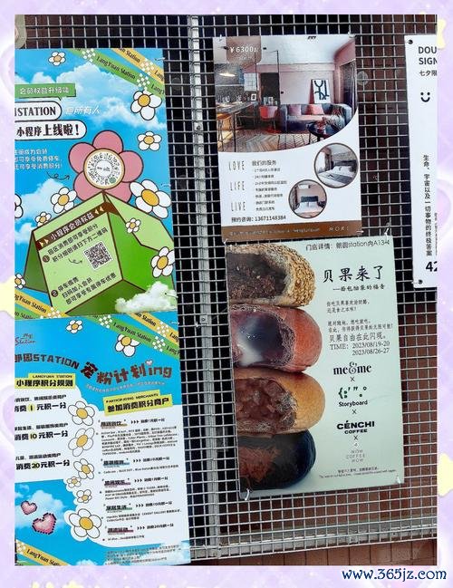宠物天堂全宠物养成攻略_宠物天堂新手入门到高手技巧