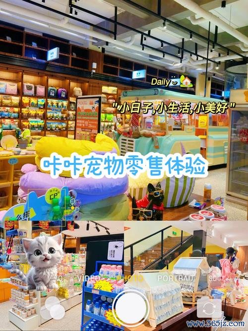 宠物天堂全宠物养成攻略_宠物天堂新手入门到高手技巧