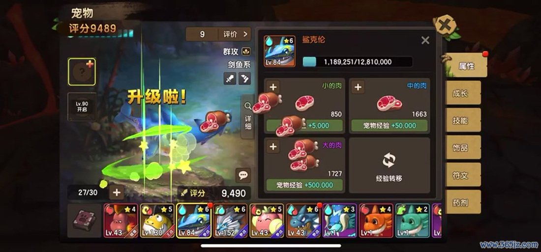 宠物大作战最全游戏攻略解说_宠物大作战最新游戏技巧通关