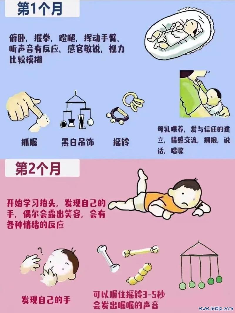 宝宝来啦最全游戏攻略解说_宝宝来啦最新游戏技巧通关