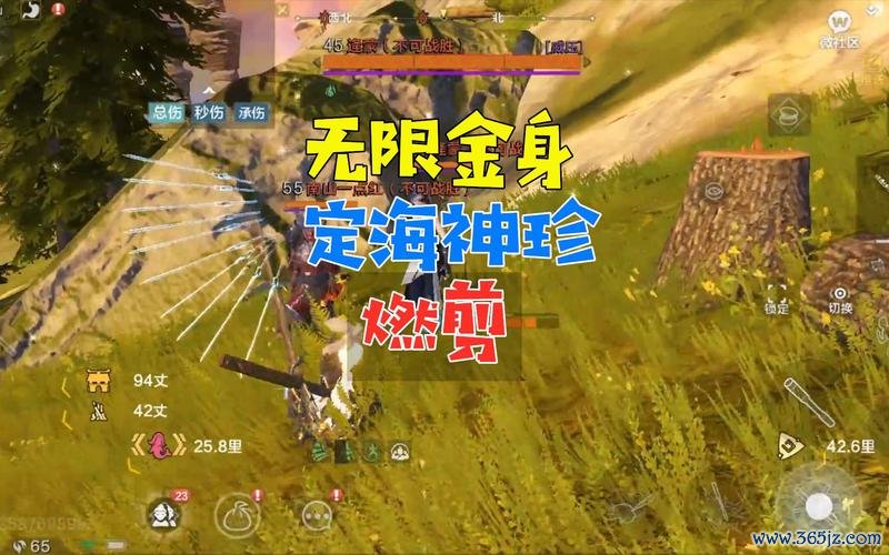 定海神珍铁最全游戏攻略解说_定海神珍铁最新游戏技巧通关