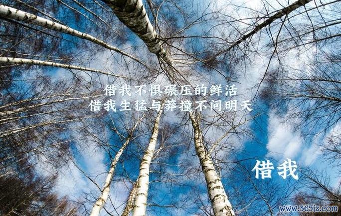 孤绝最全游戏攻略解说_孤绝最新游戏技巧通关