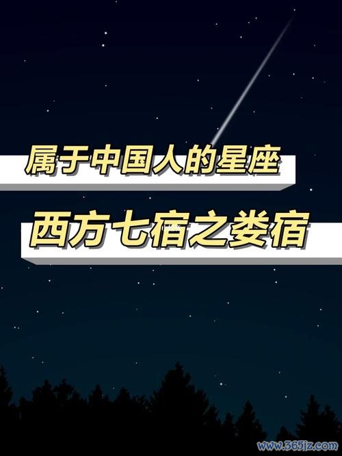 娄宿游戏最全攻略解说_娄宿游戏最新技巧通关