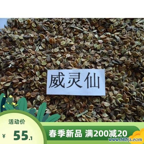 威仙灵最全游戏攻略解说_威仙灵最新游戏技巧通关
