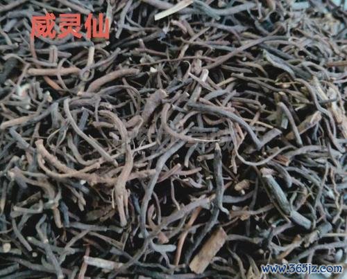 威仙灵最全游戏攻略解说_威仙灵最新游戏技巧通关