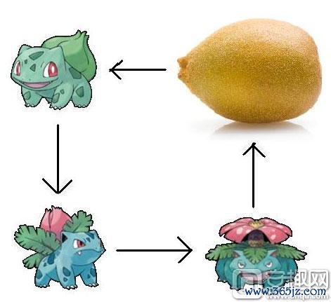 妙蛙种子进化全流程攻略_妙蛙种子进化快速通关技巧