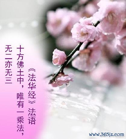 妙莲华最全游戏攻略解说_妙莲华最新游戏技巧通关