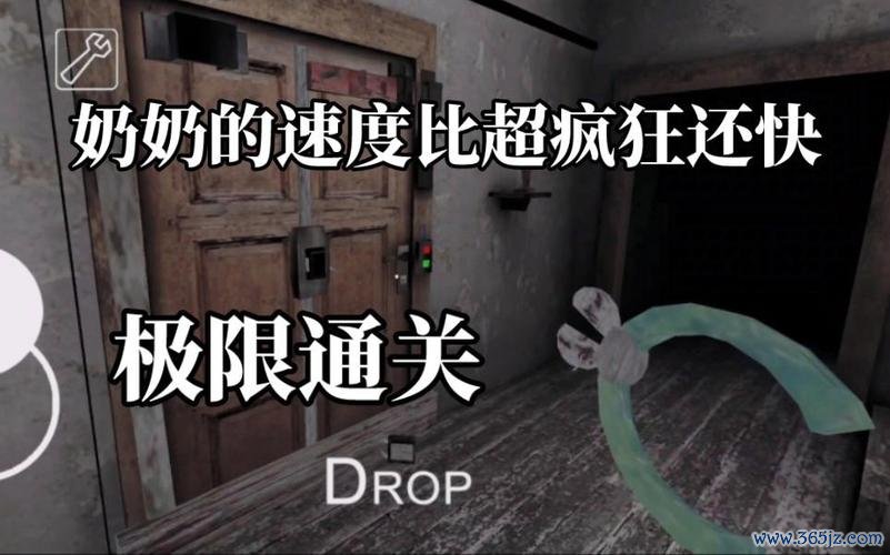 奶奶也疯狂最全游戏攻略解说_奶奶也疯狂最新游戏技巧通关