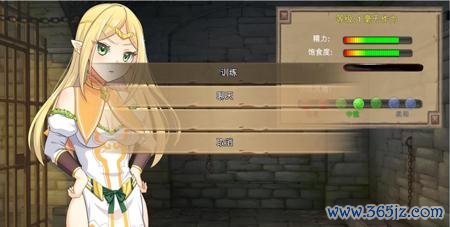 奴隶训练最全游戏攻略解说_奴隶训练最新游戏技巧通关