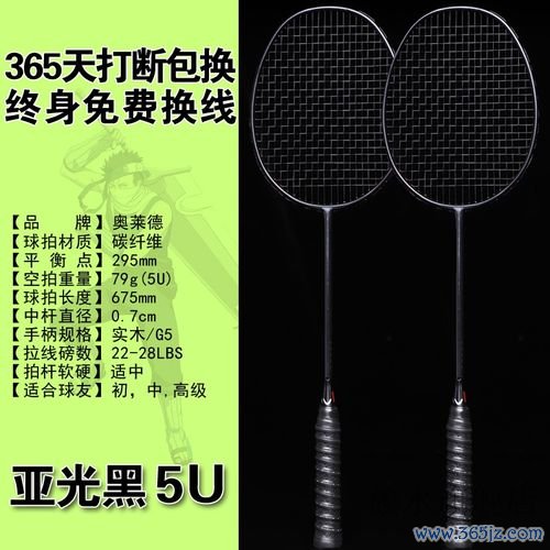 奥莱德最全游戏攻略解说_奥莱德最新游戏技巧通关