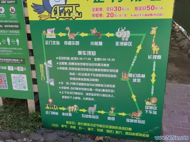 奇趣动物园全流程攻略解说_奇趣动物园最新玩法技巧通关