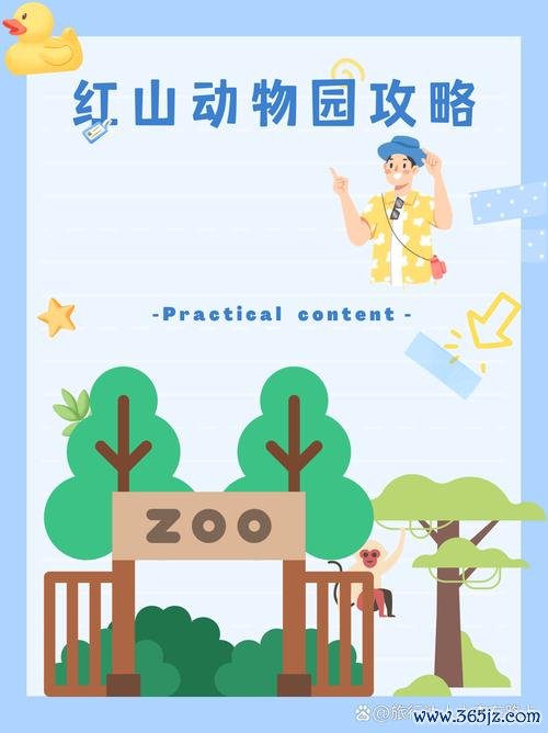 奇趣动物园全流程攻略解说_奇趣动物园最新玩法技巧通关