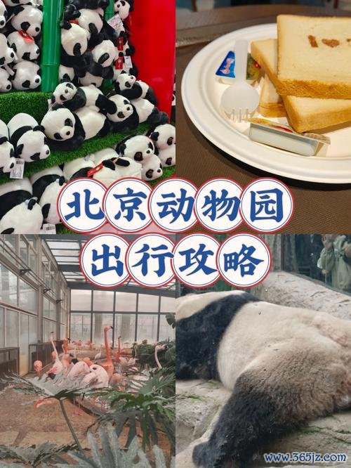 奇趣动物园全流程攻略解说_奇趣动物园最新玩法技巧通关