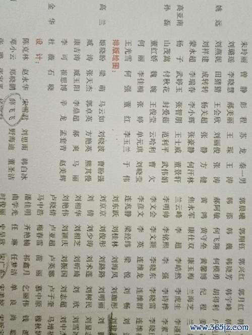 奇怪的名字游戏攻略全解析_奇怪的名字最新通关技巧指南
