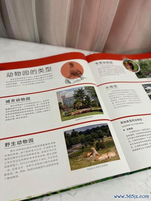 奇妙动物园最全游戏攻略解说_奇妙动物园最新游戏技巧通关