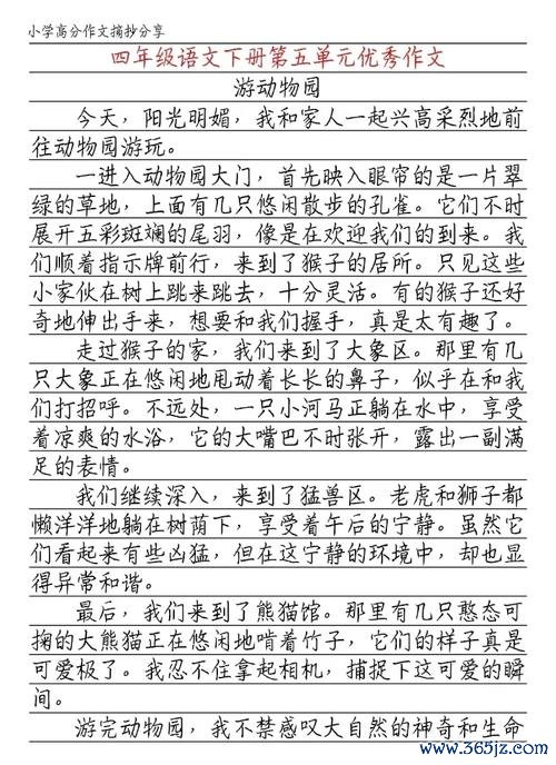 奇妙动物园最全游戏攻略解说_奇妙动物园最新游戏技巧通关